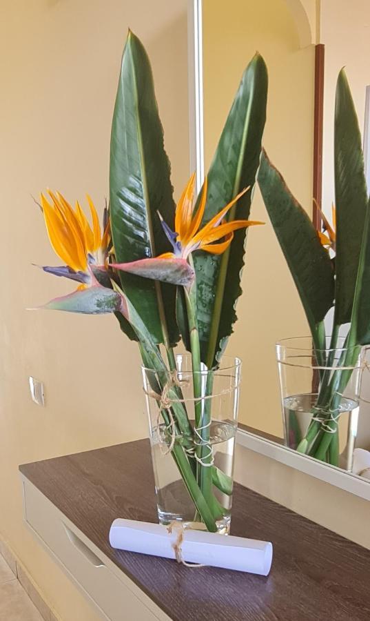 Apartamentos Strelitzias Playa del Inglés Zewnętrze zdjęcie